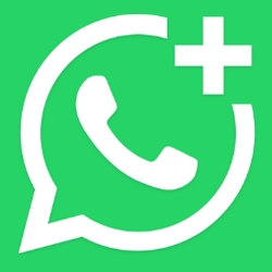 WhatsApp Business - Louis Rouanet